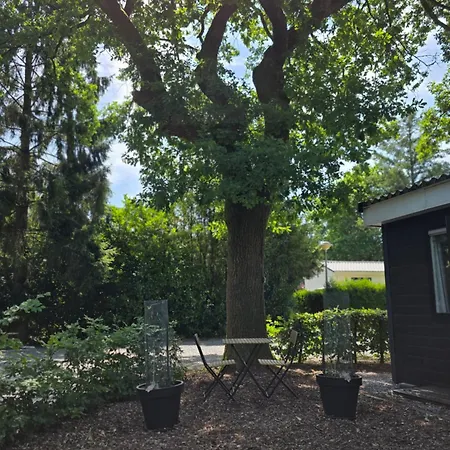 Chalet Robin's Oak